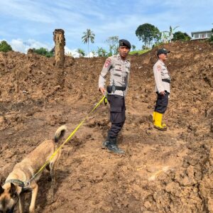 Kabid Humas Polda Jabar : Ketangkasan K9 Polri Beraksi Dengan Insting Dan Penciumannya