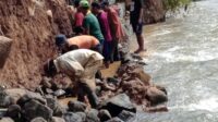 Proyek TPT Pinggiran Kali Cisadane Ngambil Batu Dari Kali