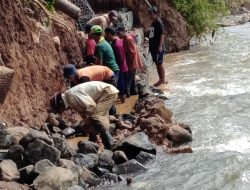 Proyek TPT Pinggiran Kali Cisadane Ngambil Batu Dari Kali