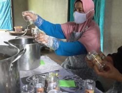 Lada Sambas, Penyedap Rasa Pembangkit Asa Warga Desa