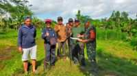Peduli Lingkungan, Babinsa Koramil Sutojayan Bersama Dinas Terkait Dan Warga Masyarakat Tanam Pohon Kayu Putih