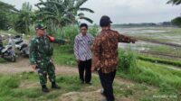 Melalui Komsos Babinsa Lakukan Pengecekan Jembatan Untuk mengantisipasi Bencana Banjir