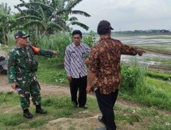 Melalui Komsos Babinsa Lakukan Pengecekan Jembatan Untuk mengantisipasi Bencana Banjir