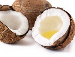 Nilai Ekspor Minyak Kelapa Meningkat Hingga 36,33% di Tahun 2022