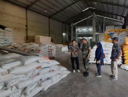 Jelang Tahun Baru 2023, Stok Beras Kalbar 10.955 Ton Siap Banjiri Pasar
