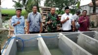 Dukung Ketahanan Pangan Babinsa Bersama Pemdes Karang Rahayu, Resmikan Budidaya Ikan lele