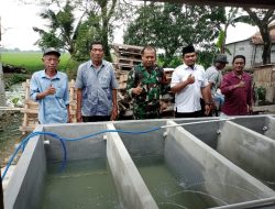 Dukung Ketahanan Pangan Babinsa Bersama Pemdes Karang Rahayu, Resmikan Budidaya Ikan lele