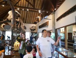 Kunjungi Mason Adventures, Bamsoet Apresiasi Pelestarian Gajah Sumatera