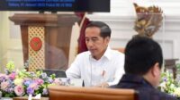 Pemerintah Dukung Pembentukan Induk Perusahaan dan Transisi Energi di PLN