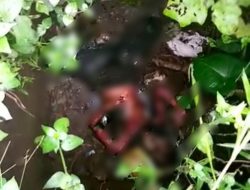 Sesosok Mayat Pria Ditemukan Membusuk Oleh Warga Desa Cibodas Batujajar