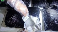 Tidak Mau Main” Kodam XII/Tpr Komitmen Berantas Narkoba, Sabu Seberat 7,1 Kg Berhasil Diamankan di Jalur Tikus Perbatasan