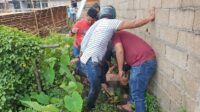 Coba Kabur Saat di Tangkap Pelaku Kejahatan 15 TKP Terpaksa Kena Timah Panas Polisi