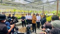 Tinjau Persemaian Mentawir, Presiden: Komitmen Pemerintah Terhadap Lingkungan Dimulai dari Sini