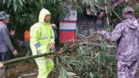 Tanah Longsor Tutup Akses Jalan Alternatif Cigombong-Cibadak – Cijeruk, Pihak Kepolisian Lakukan Pengalihan Arus Lalin