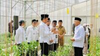 Presiden Jokowi dan Ibu Iriana Tinjau Area Pertanian Kopontren Al-Ittifaq