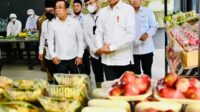 Presiden Apresiasi Model Bisnis Pertanian di Ponpes Al-Ittifaq