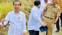 Presiden Minta Badan Pangan Nasional Hitung Harga Gabah Kering Petani