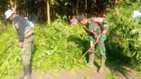 Bersama Warga, Babinsa Koramil Bubulan Bojonegoro Bersih-Bersih Jalan Poros Kecamatan