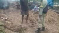 Diduga Tidak Ada Izin Produksi, Pembuatan Arang Kayu Di Dekat Pantai Cimaja Tetap Beroperasi Menyebabkan Asap Hitam Pencemaran Udara Berdampak Negatif