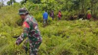 Sehat Terhindar Malaria, Satgas Yonif 143/TWEJ Bersama Masyarakat Bersihkan Semak Belukar Pedalaman Papua