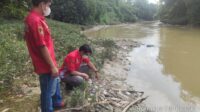Di duga Akibat Tercemar Ratusan Ikan di Aliran Sungai Cileungsi Mati, Pihak Kepolisan Lakukan Penyelidikan