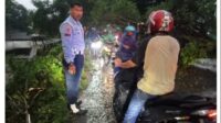 Hujan Deras Akibatkan Pohon Tumbang di Kemang Kabupaten Bogor