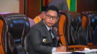 Kisah Neko Wesha Pawelloy Tinggalkan Zona Nyaman Pilih Nahkodai Perindo