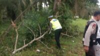 Patroli POS PAM Batu 6 Ops Ketupat LK 2023 Polres Rohil, Urai Kemacetan Akibat Pohon Tumbang