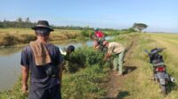 Motivasi Babinsa Ajak Masyarakat Bersihkan Rumput di Tanggul