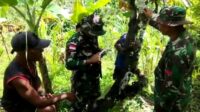 Tingkatkan Hasil dan Mutu Panen, Satgas Yonif 143/TWEJ Ajarkan Ini Kepada Petani Kakao di Perbatasan RI-PNG