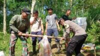 Seinergitas TNI-Polri Lakukan Gotong Toyong Besama Warga