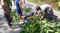 RA 23 Tahun Meninggal Dunia Akibat Kecelakaan Maut