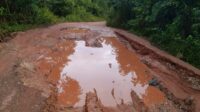Masyarakat Kecamatan Kuala Behe Sangat Mengeluh Dengan Kondisi Jalan Yang Rusak Parah