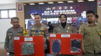 Polsek Jonggol dan Sat Reskrim Polres Bogor Polda Jabar Berhasil Tangkap Pelaku Penculikan Anak Berusia 3 Tahun di Wilayah Jonggol