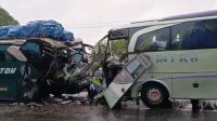 Laga Kambing Bus Intra dan Bus PMTOH di Jalan Lintas Rohil, 3 Orang Alami Luka Berat