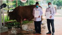 Presiden Joko Widodo Berikan Sapi Kurban ke Tiap Provinsi pada Iduladha 1444 H