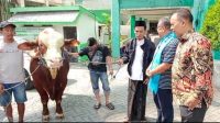 PAN Jatim Serahkan Sapi Seberat 1,2 Ton ke Muhammadiyah dan NU Jatim, Achmad Rubaie: Untuk Mempererat Silaturahmi