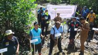 Jaga Kelestarian Lingkungan, PLN UP3 Tanam 5.000 Mangrove Bersama Masyarakat
