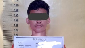 Bawa Kabur Mobil Colt Diesel Milik Perusahaan, Pelaku Ditangkap Polsek Bukit Raya
