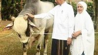 Presiden Jokowi akan Salat Iduladha 1444 H di Istana Yogyakarta Bersama Masyarakat