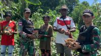 Tingkatkan Ekonomi, Satgas Yonif 143/TWEJ Borong Hasil Panen Warga Papua