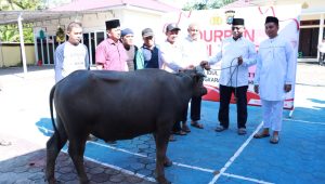 Hari Raya Idul Adha 1444 H, Polres Kampar Menyembelih 10 Ekor Sapi dan 1 Kerbau