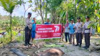 Idul Adha 1444 H, Polres Dumai Gelar Kegiatan Qurban Polri Presisi
