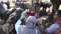 Bupati Anne: Stok Berlimpah, Ketersediaan Hewan Kurban di Purwakarta Sangat Aman