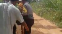 Bhabinkamtibmas Polsek Tanah Putih Tolong Kakek 80 Tahun Tergeletak Lemas di Semak Belukar