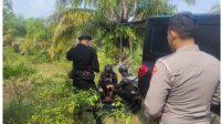 Warga Cilengsi Hendak Tanam Pohon Pisang Temukan Ranjau Darat, Polsek Cilengsi Dan Gegana Polri Polda Jabar Lakukan Pengamanan