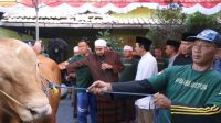 Habib Syech Pimpin Langsung Pemotongan Sapi Qurban dari Prabowo