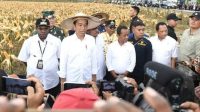 Indonesia Terbuka untuk Kerja Sama Hilirisasi dengan PNG