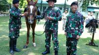 Panglima TNI Tinjau Kesiapan Pasukan Kuda HUT TNI ke 78