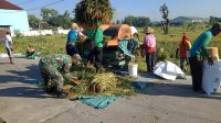 Dibawah Terik Matahari, Babinsa Banjarsari Bantu Petani Panen Padi